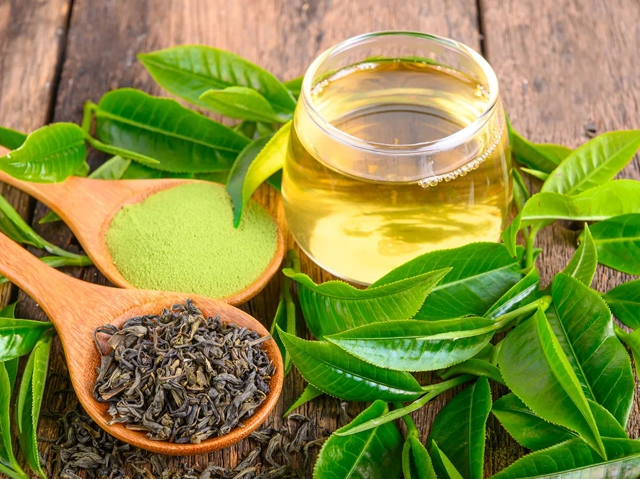 The Role of Glycine and L-Theanine in Daily Support